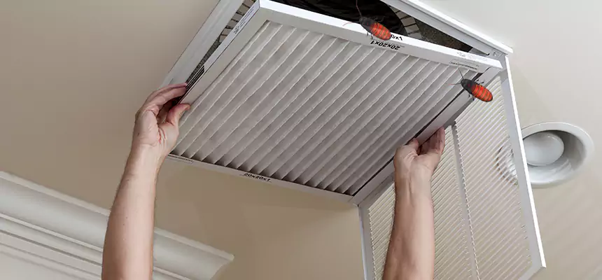 Preventive Cockroach-Proofing for Ducts in Laguna Woods