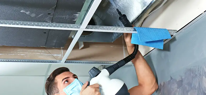 Our Air Duct Rodent Removal Services in Laguna Woods, CA