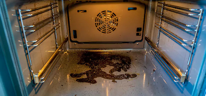 Our Dryer Vent Mold Cleaning Services in Laguna Woods, CA