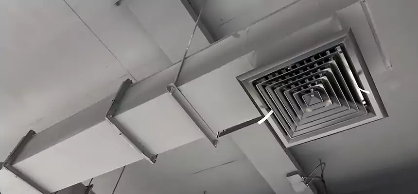 Our Rodent Droppings In Vents Services in Laguna Woods, CA