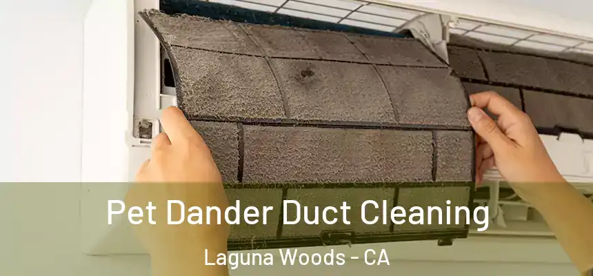  Pet Dander Duct Cleaning Laguna Woods - CA