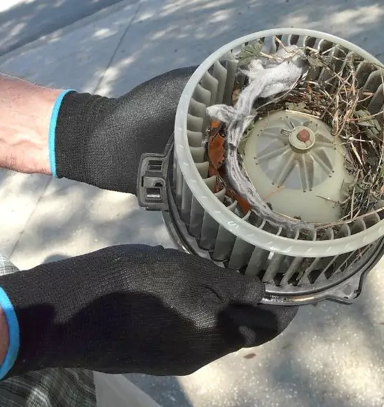 About Air Duct Mice Removal in Laguna Woods, CA