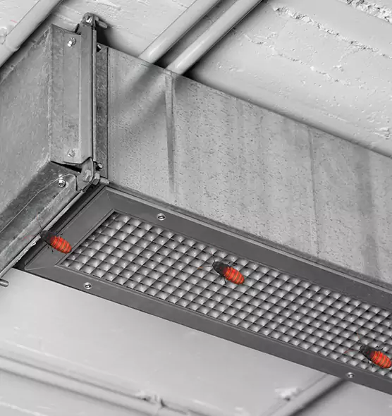 Affordable Insect Removal from Air Ducts in Laguna Woods, CA