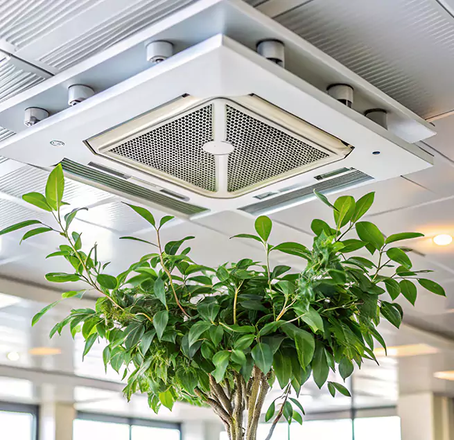 Why Homeowners & Businesses Trust Us in Laguna Woods, CA